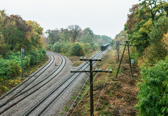 Train with freight wagons on the railway in the forest