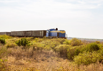 Fototapeta premium Diesel locomotive with freight cars on a field background with green grass