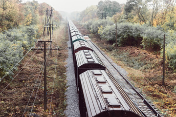 Train with freight wagons on the railway in the forest