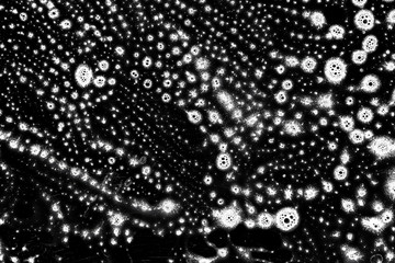 Soap texture. Grunge liquid foam in bath on black background. white shampoo water suds. Clean abstract bubble. Washing and cleaning concept in top view.