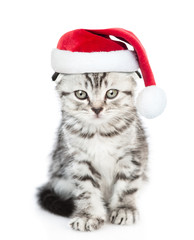 Baby kitten wearing a red christmas hat sits in front view and looks at camera. isolated on white background