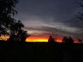 sunset in the forest