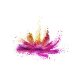 Colorful powder splash as a flower on a white background.