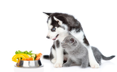husky puppy hugs kitten and looks at bowl of vegetables. isolated on white background © Ermolaev Alexandr