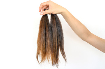 Cropped view of someone hand holding a ponytail cutting hair for donation. Usable hair can turn your long locks into free or low-cost wigs for people with cancer.