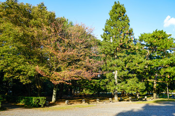 Obraz premium 京都御所