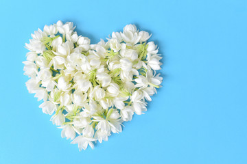 Heart shape jasmine flower on blue background. Jasmine flower is the flower used in cosmestic...