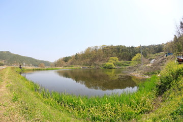 Fototapeta na wymiar 봄날 호수가의 아름다운 풍경