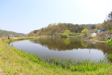 봄날 호수가의 아름다운 풍경