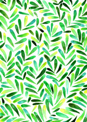 Green fern leaves watercolor hand painting background for decoration on spring season.