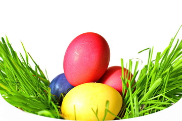 Colorful painted chicken eggs for the Easter holiday between young green grass sprouts on white background in a round frame with copy space