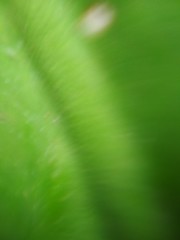 abstract green background