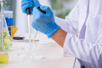 Fototapeta premium Young male chemist working in the lab