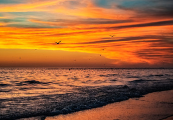 sunset on the beach, sea, sky, clouds, orange, reflection, sand, birds, seagull, blue, dusk, waves