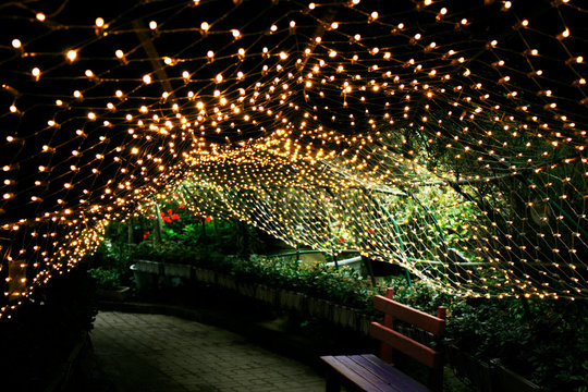 A pretty flower photo of Botanical Garden