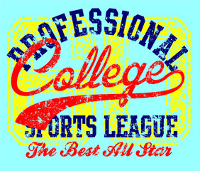 Obraz premium College Professional sports print embroidery graphic design vector art