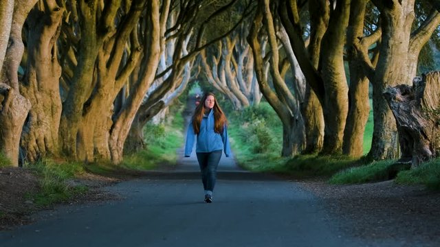 Ireland Dark Hedges Cinematic Walking SHot