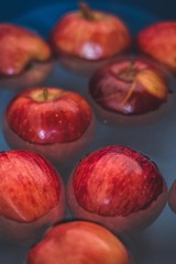 apples and water colors