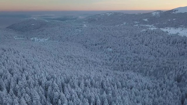 Aerial View of Uludag Snow Capped Evergreen Forest. Turkish Ski Resort and National Park in Bursa Province