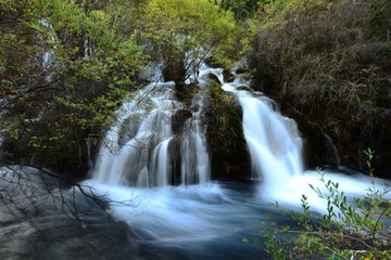 Plakat View Of Waterfall In Forest