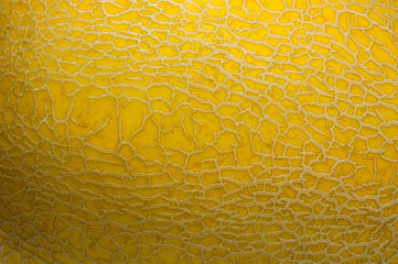 background texture surface of golden cantaloup