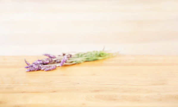 8 Best フリンジドラベンダー Images Stock Photos Vectors Adobe Stock