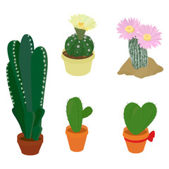 Cactus plants pots set isolated on white