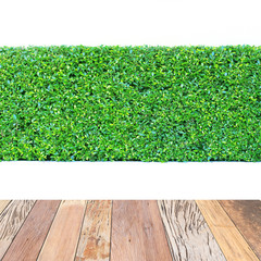 green leaves plant with wood floor on vertical garden wall