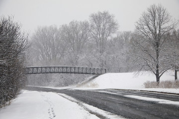 Last snow storm in April with cold, wind and large snow flakes near Minneapolis Minnesota