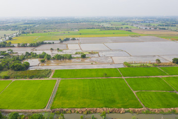 aerial view from flying drone of Field rice with landscape green pattern nature background, top view field rice
