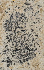 abstract background, wall texture, mortar background, cement texture
