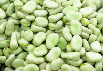 food background of fresh broad bean