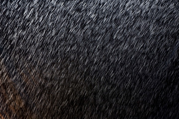 abstract rain texture background. background rain in night light