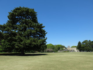 皇居東御苑にある江戸城の本丸跡（大奥跡）　Site of the Honmaru (Main compound) / The East Gardens of the Imperial Palace