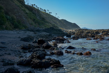 Wild sea shore at Mangawhai Heads beach, New Zealand