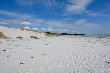 Pure white sand at Rarawa Beach, New Zealand
