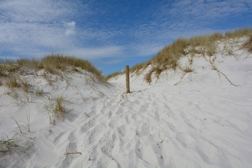 Entrance to Rarawa Beach, New Zealand