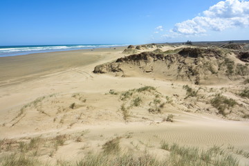 Fototapeta na wymiar Sand dunes on the wide 90 Mile Beach, New Zealand