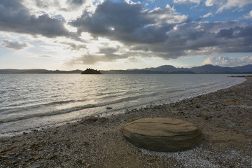 Flat round stone on the beach, New Zealand