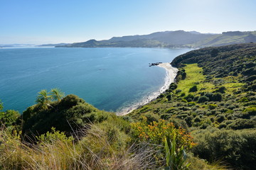 View of Martin's Beach, New Zealand