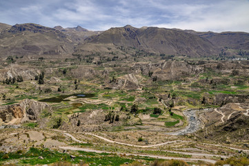 Fototapeta na wymiar Panorama of Colca Canyon, Peru