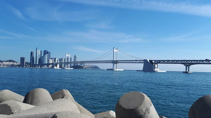 brooklyn bridge new york