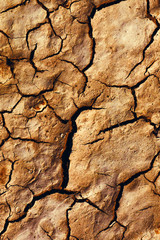 Background and texture of cracked dry earth.