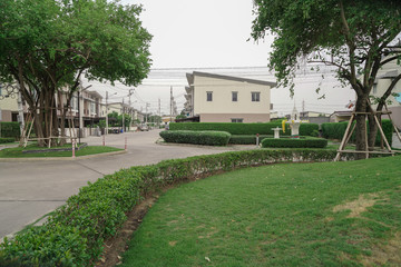 Fototapeta premium the garden of the palace