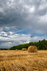 Hay bales in the field