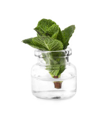 Bottle with mint essential oil on white background