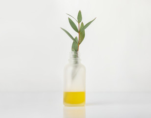 Bottle with eucalyptus essential oil on white background