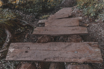 Fototapeta premium wooden stairs in the forest
