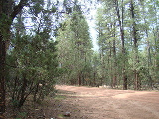 Payson Arizona