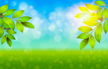 Green fresh leaves with bokeh highlights. Blurred natural background. Summer or Spring season. Vector illustration. Sun day. Header